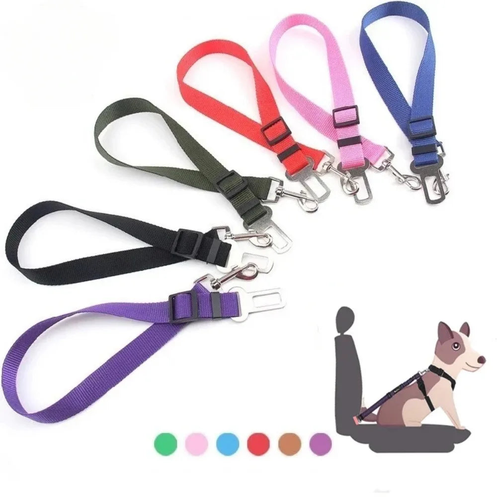 Safety harness lead clip for pets