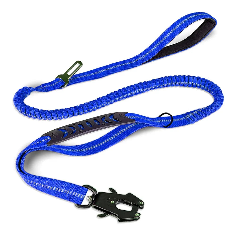 Safety leash with seatbelt attachment