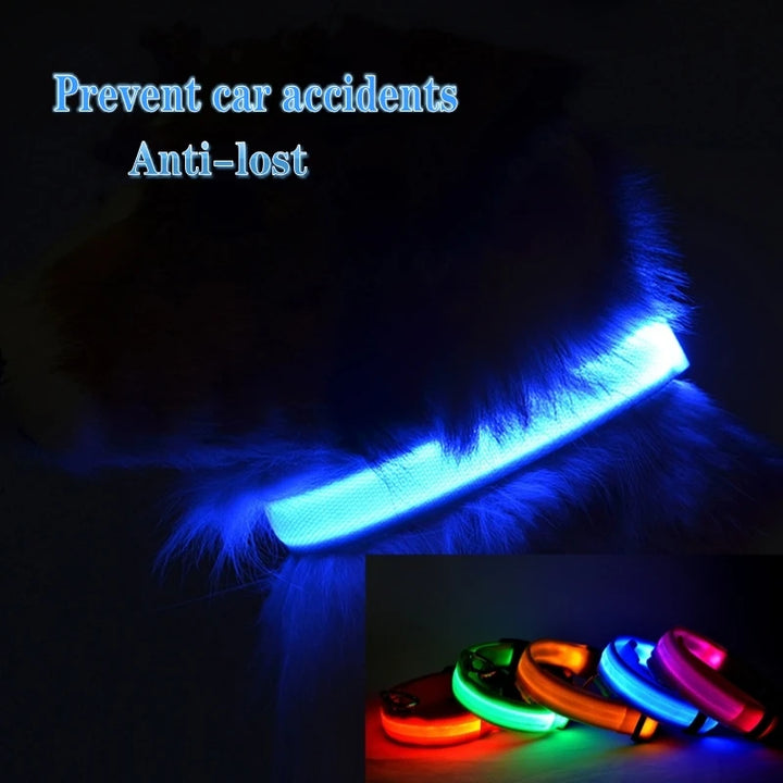 LED Dog Collar Light Anti-lost Collar For Dogs Puppies  Night Luminous Supplies Pet Products Accessories USB Charging/Battery