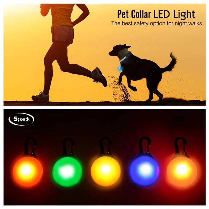 USB Charging Glowing Dog Collar With Pendant Detachable Luxury Led Light Bright For Small Dogs Cat Night Safety Collar Wholesale