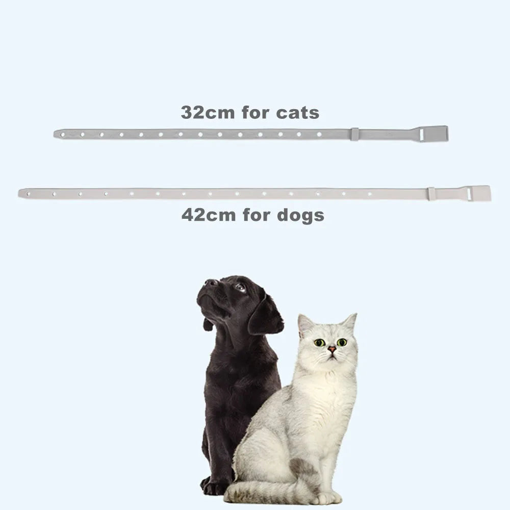 Anti Flea Tick Collar For Cat Small Dog Antiparasitic 8 Months Protection Adjustable Puppy Kitten Collar Breakaway Pet Accessories