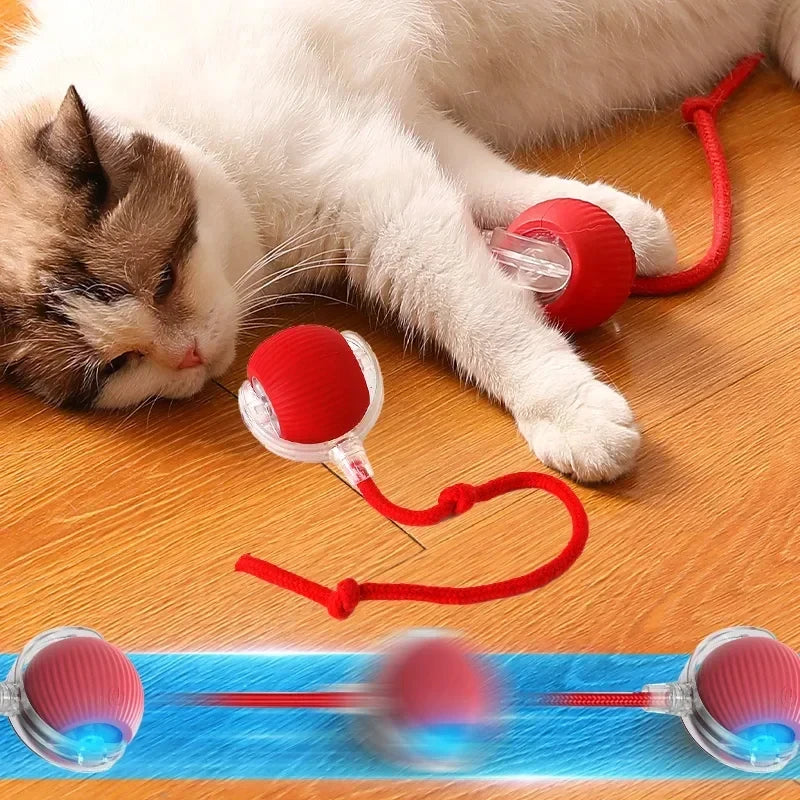 Interactive Cat Toys Ball Auto Electric Rolling Ball Toys for Cats/Kitty Pets Smart Automatic Teaser USB Rechargeable