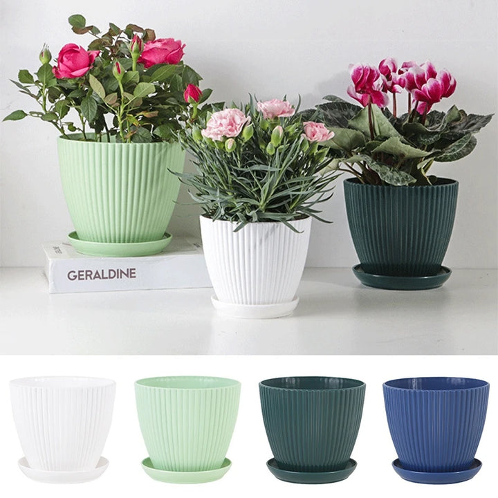 Plastic Succulent Flower Pot with Tray - Small Double Layer Round Planter for Home and Office Decor