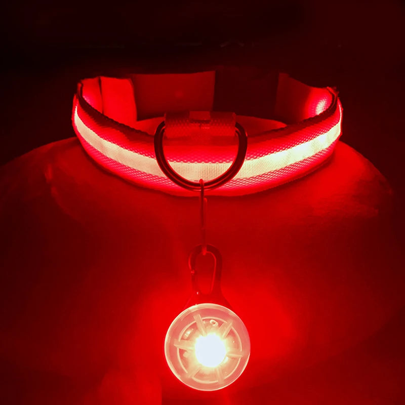 USB Charging Glowing Dog Collar With Pendant Detachable Luxury Led Light Bright For Small Dogs Cat Night Safety Collar Wholesale