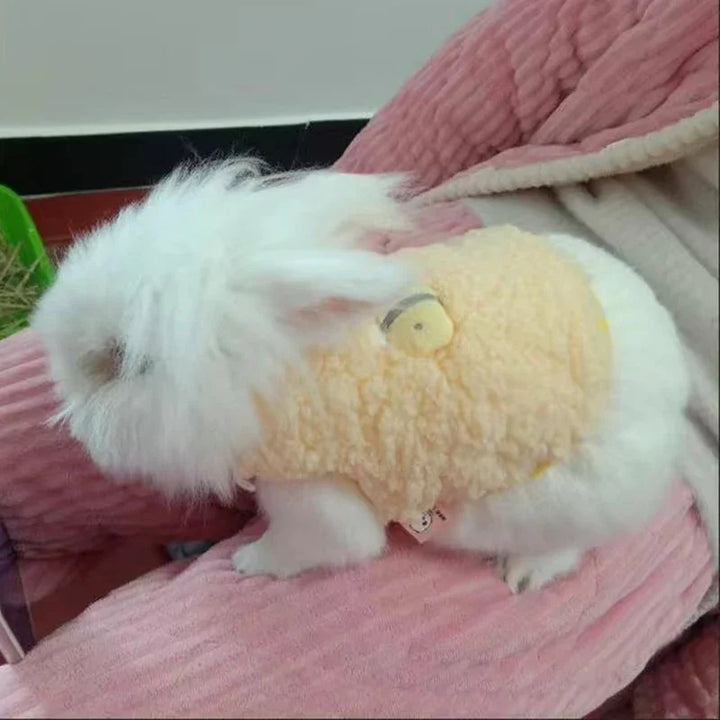 Cozy Winter Sweater for Small Animals
