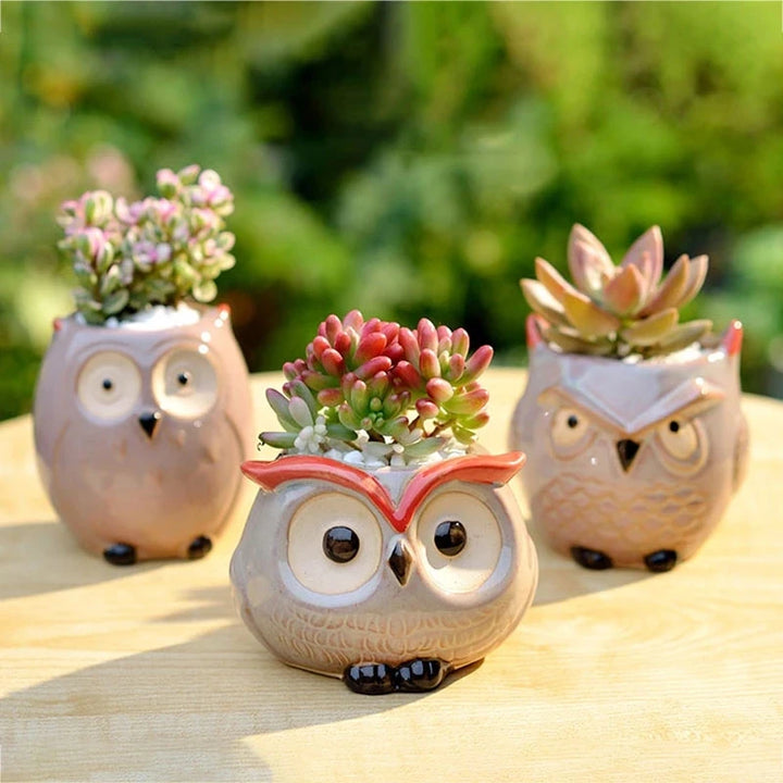 Owl Style Ceramic Flower Pot - Mini Animal Planter for Succulents and Cactus, Garden and Office Decor