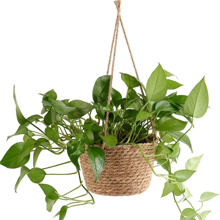 Plant Hanger - Jute Rope Hanging Planter Basket for Indoor and Outdoor Decor