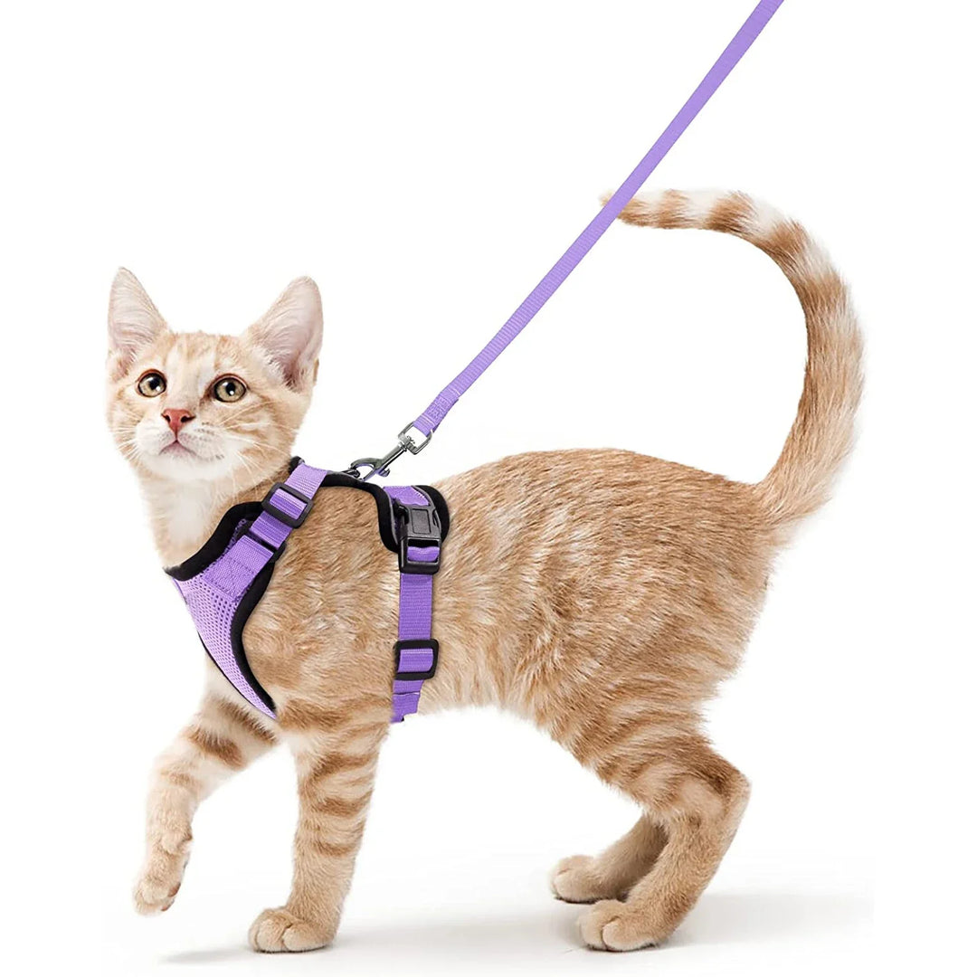 Secure Fit Cat Walking Set