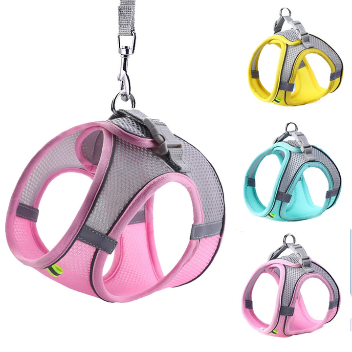 Secure Puppy Walking Harness