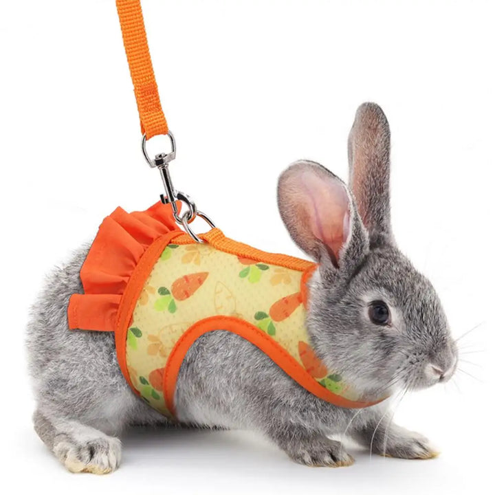 Secure Rabbit Leash Set
