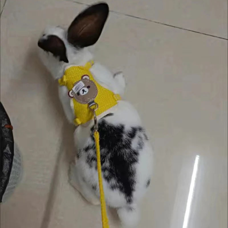 Secure Rabbit Leash for Training