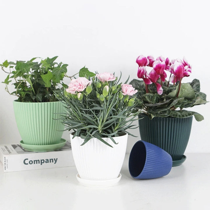 Plastic Succulent Flower Pot with Tray - Small Double Layer Round Planter for Home and Office Decor