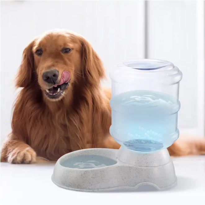 Self-filling pet water container