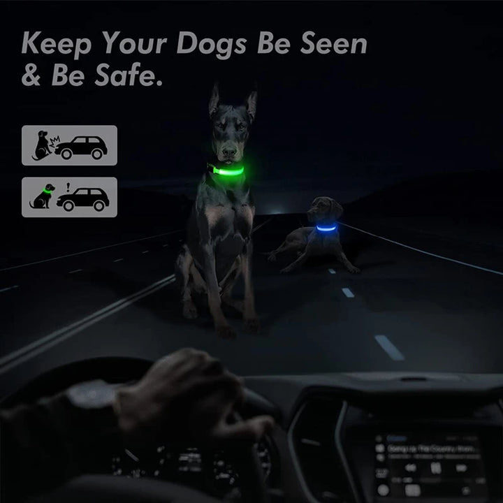 USB Rechargeable Luminous Collar Adjustable Led Glowing Dog Collar for Large Small Dogs Cat Night Light Collar Pet Safety Harnes