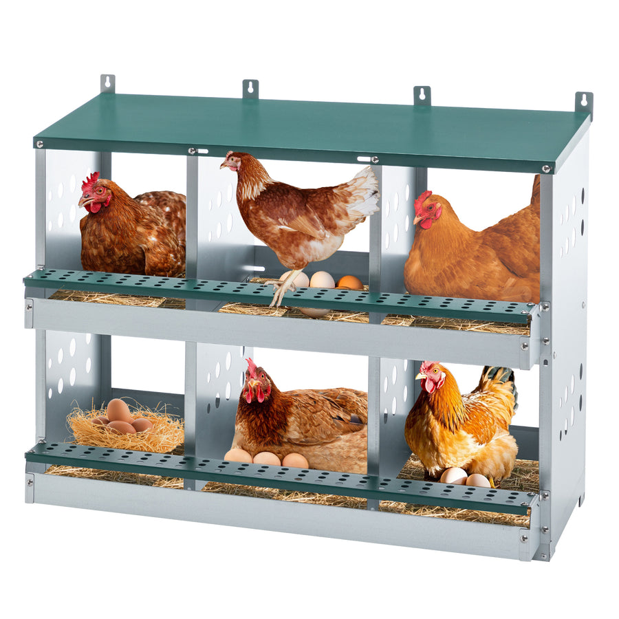 Six compartment chicken nesting box green