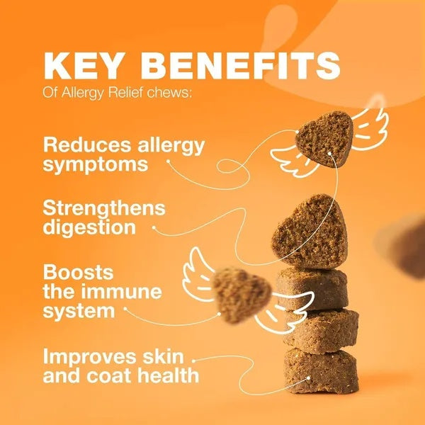 Skin and immune health chews for dogs with allergies