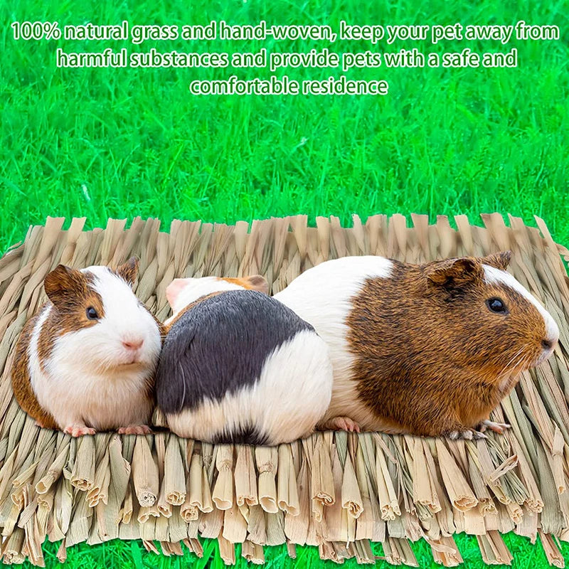 Small Animal Grass Mat