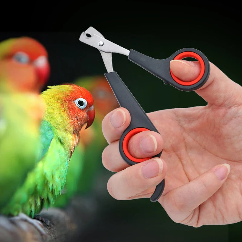 Small Animal Nail Scissors