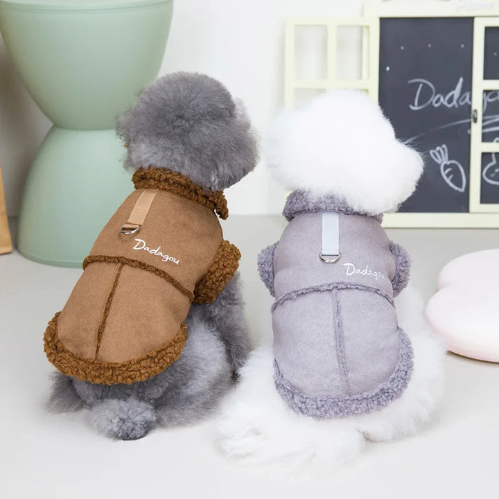 Small Breed Dog Winter Outfit