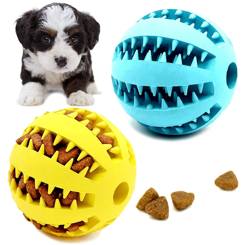 Small Dog Interactive Toy Ball