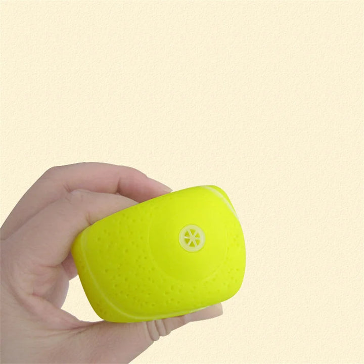 Small Dog Rubber Squeaky Ball Toy