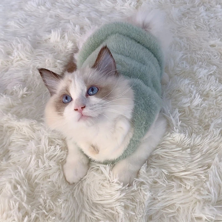 Small Kitten Apparel for Winter
