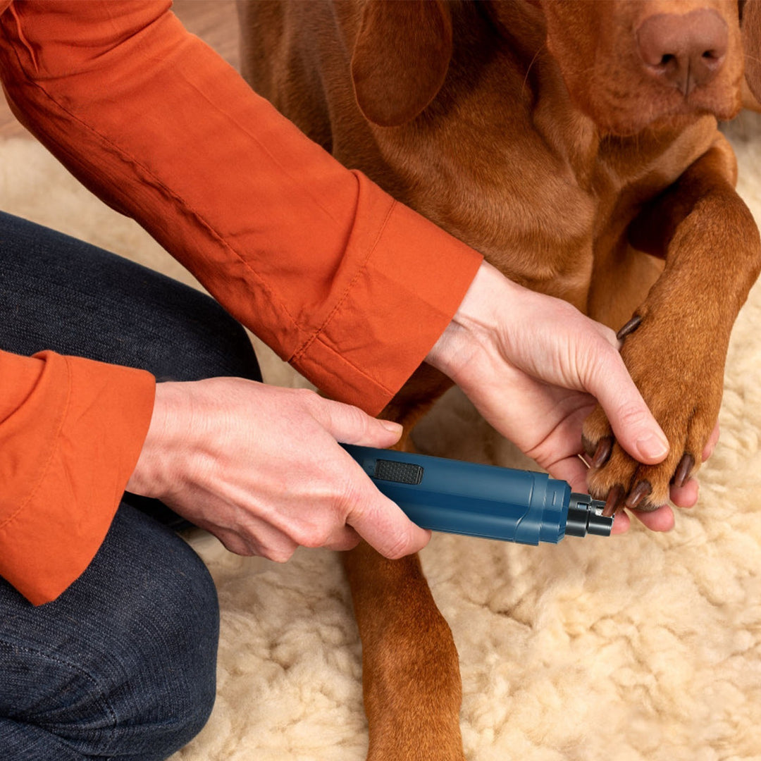 Small Medium Large Dog Claw Care