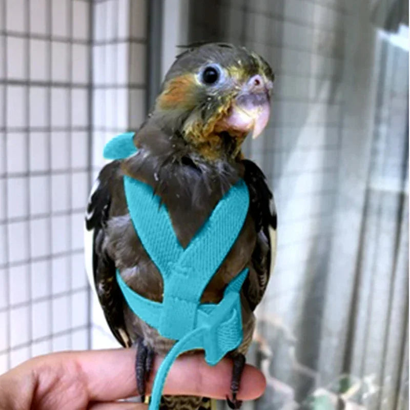 Small Parrot Flying Vest