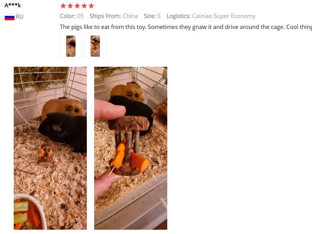 Small Pet Molar Chew Toy
