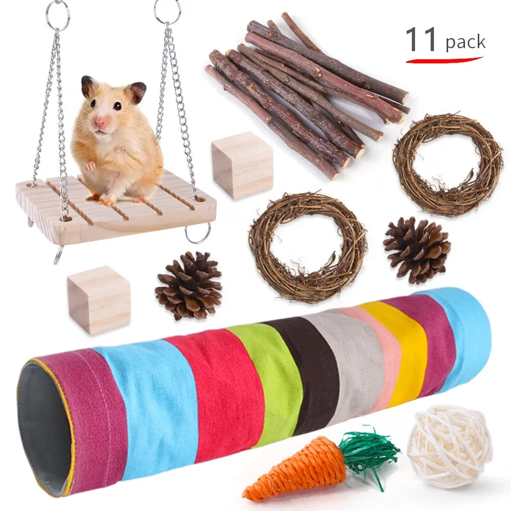 Small Pet Play and Chew Set