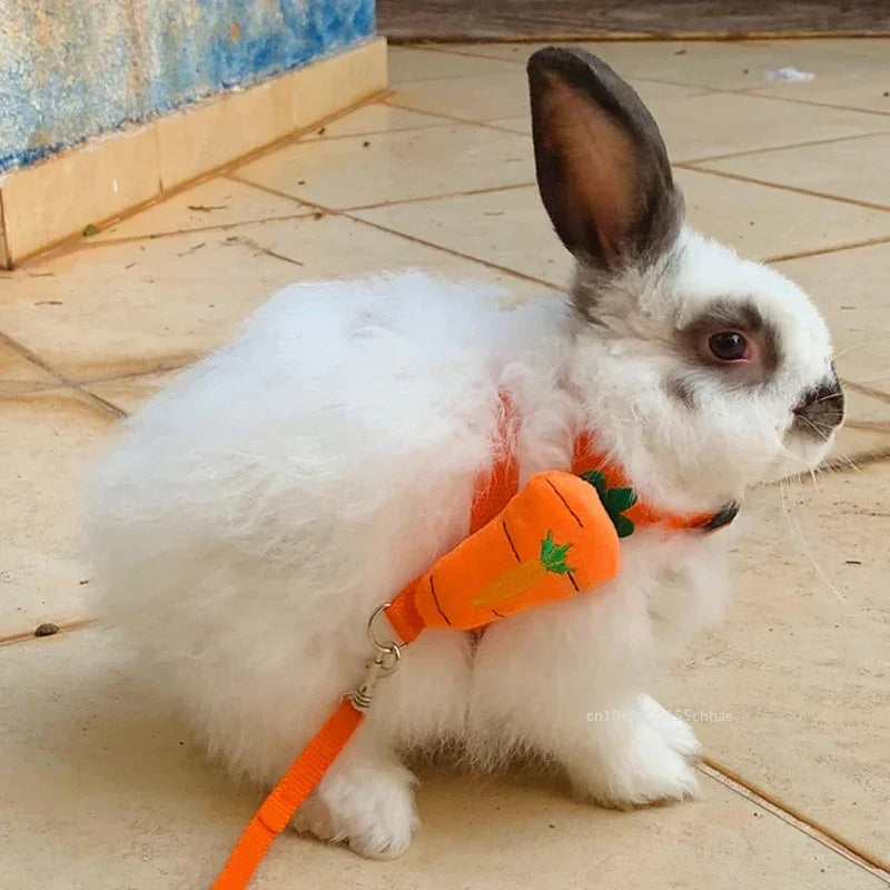 Small Pet Walking Harness for Bunnies
