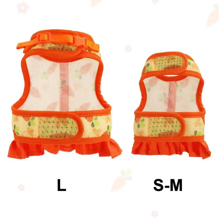 Small Pet Walking Leash Set
