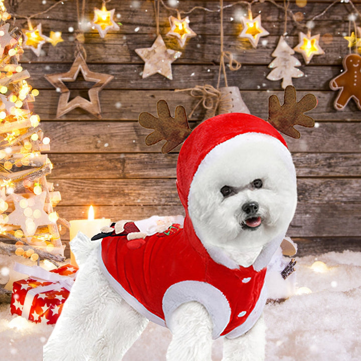 Small dog Santa Claus costume