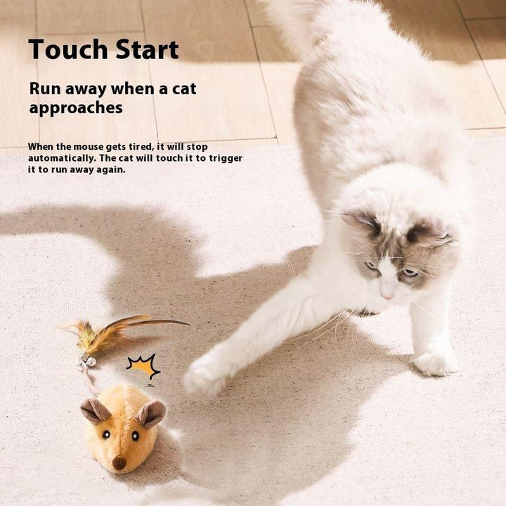 Small electric orange mouse device