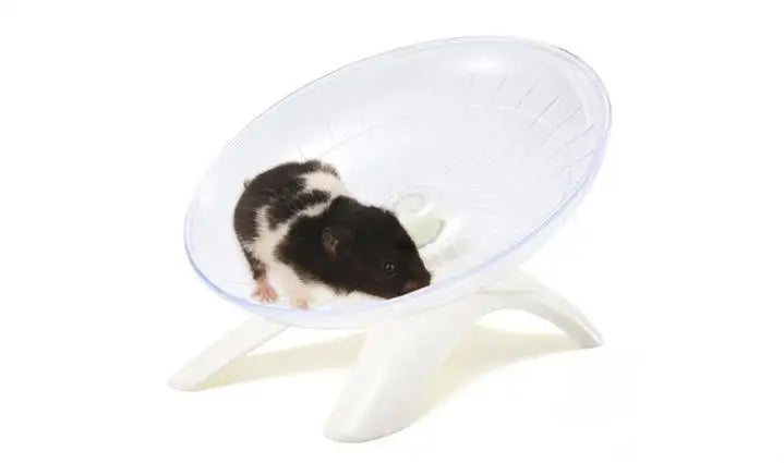 Small pet running disc