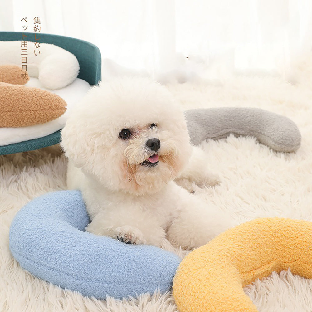 Small white dog sitting on a fluffy surface with colorful pet beds around