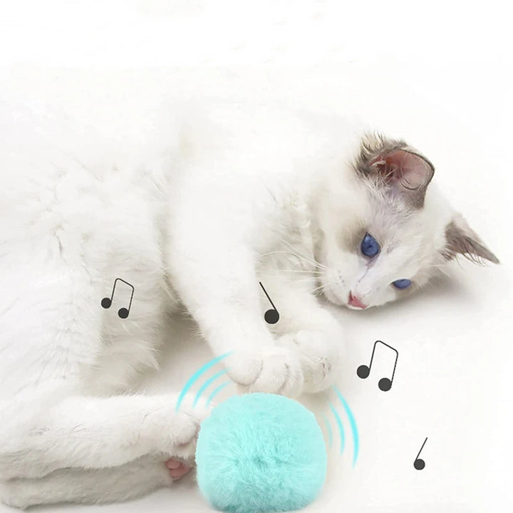 Smart Cat Training Toy with Squeak
