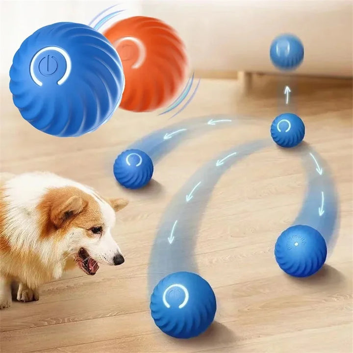 Smart Dog Toy