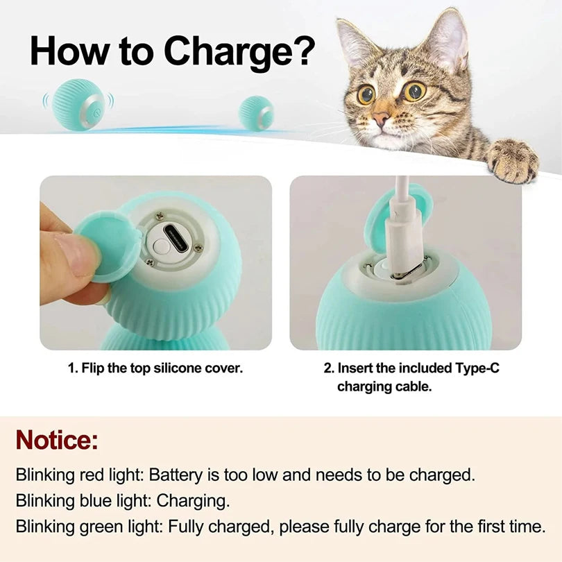 Smart Remote Cat Toy Car