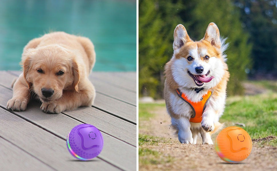 Smart Rolling Dog Toy Ball