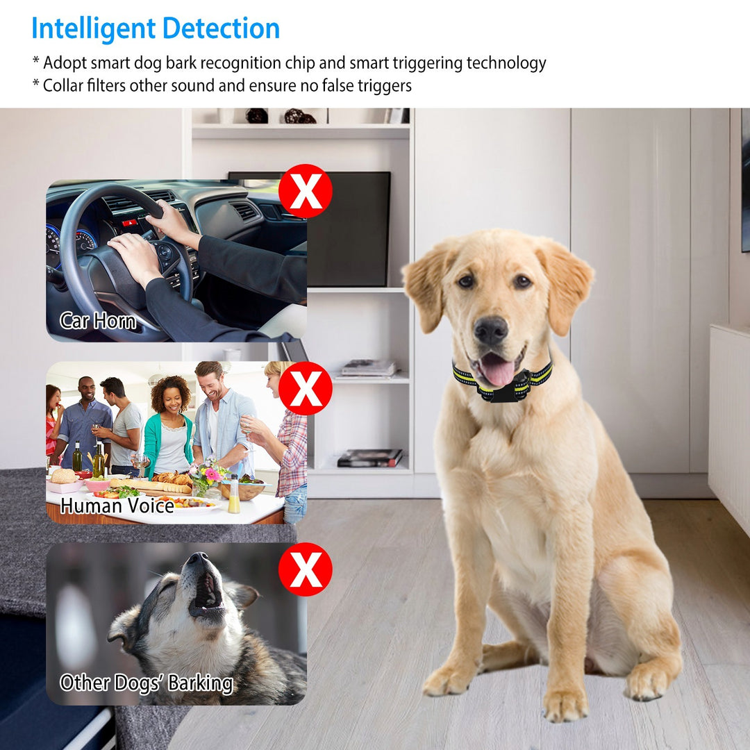 Smart bark collar with static stimulation