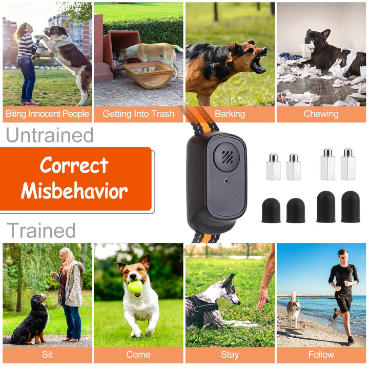 Smart dog collar with transmitter