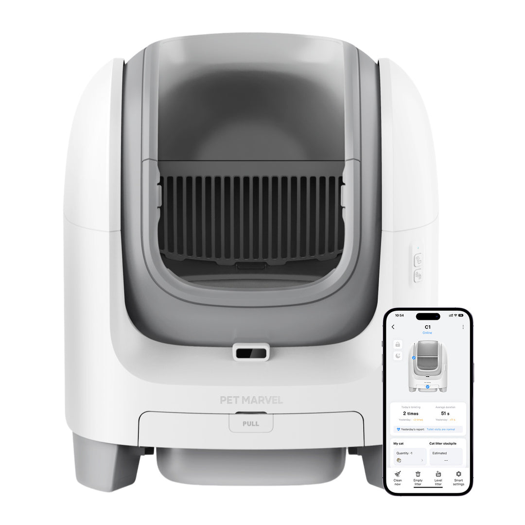 Smart self-cleaning litter box