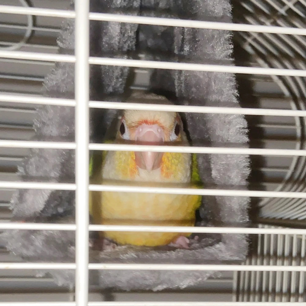 Soft Bird Hammock for Small Pets