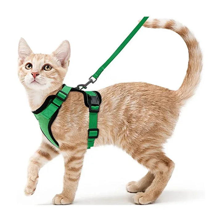 Soft Mesh Cat Harness