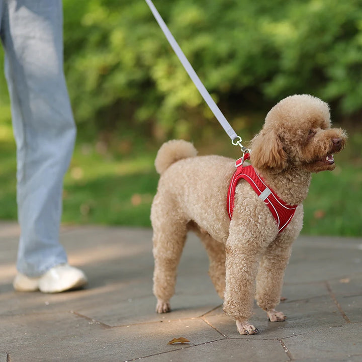 Soft Mesh Dog Harness