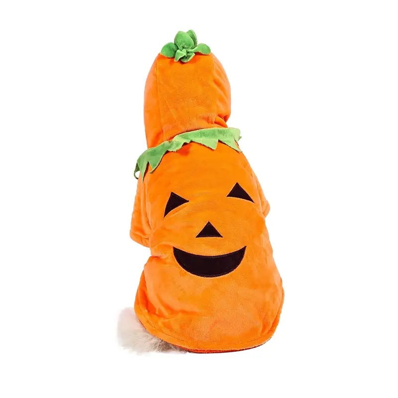 Soft fleece pumpkin hoodie for dogs