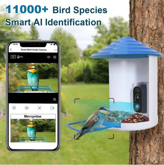 Solar bird feeder with motion detection