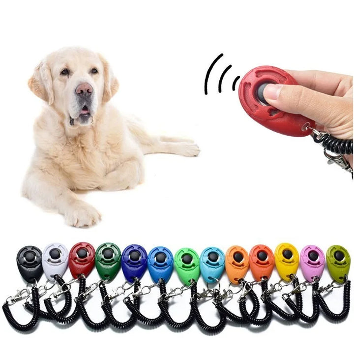 Sound key chain for dog training