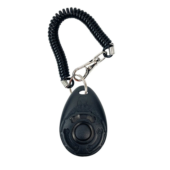 Sound key dog training aid